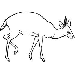Antelope (Animals) coloring page #210745 to print and color