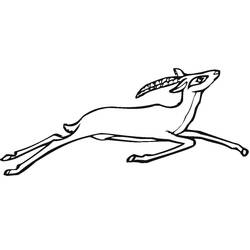 Antelope (Animals) coloring page #210750 to print and color