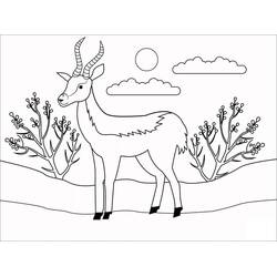 Antelope (Animals) coloring page #210759 to print and color