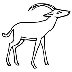Antelope (Animals) coloring page #210765 to print and color