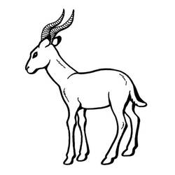 Antelope (Animals) coloring page #210768 to print and color