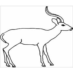 Coloring page: Antelope (Animals) #22591 - Printable coloring pages