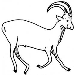 Coloring page: Antelope (Animals) #22592 - Free Printable Coloring Pages