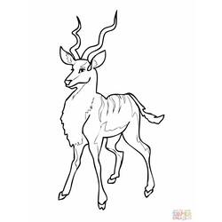 Coloring page: Antelope (Animals) #22598 - Printable coloring pages