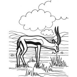 Coloring page: Antelope (Animals) #22608 - Printable coloring pages