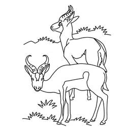 Coloring page: Antelope (Animals) #22613 - Free Printable Coloring Pages