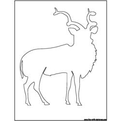 Coloring page: Antelope (Animals) #22640 - Free Printable Coloring Pages