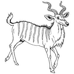 Coloring page: Antelope (Animals) #22645 - Printable coloring pages