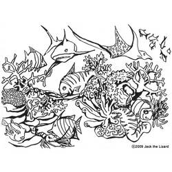 Coloring page: Antelope (Animals) #22657 - Free Printable Coloring Pages