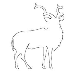 Coloring page: Antelope (Animals) #22658 - Free Printable Coloring Pages