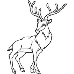 Coloring page: Antelope (Animals) #22659 - Printable coloring pages
