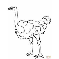 Coloring page: Antelope (Animals) #22674 - Printable coloring pages
