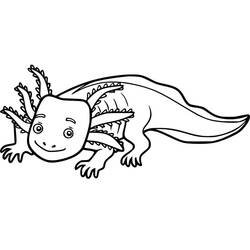 Axolotl (Animals) coloring page #184569 to print and color