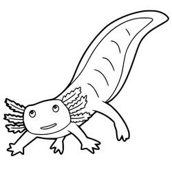 Axolotl (Animals) coloring page #184573 to print and color