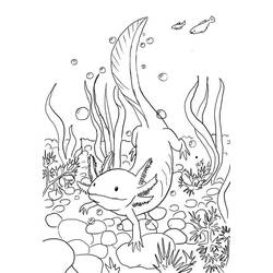 Axolotl (Animals) coloring page #184574 to print and color