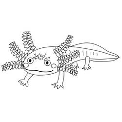 Axolotl (Animals) coloring page #184577 to print and color