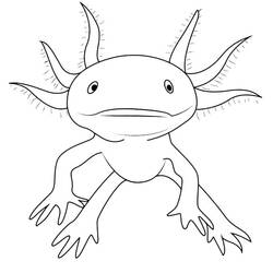 Axolotl (Animals) coloring page #184580 to print and color