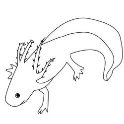 Axolotl (Animals) coloring page #184583 to print and color