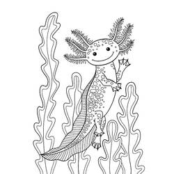 Axolotl (Animals) coloring page #184584 to print and color