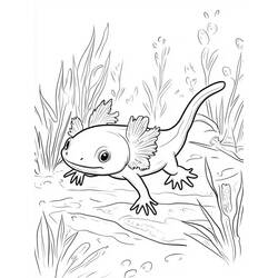 Axolotl (Animals) coloring page #220215 to print and color