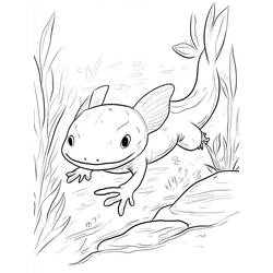 Axolotl (Animals) coloring page #220219 to print and color