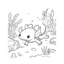 Axolotl (Animals) coloring page #220220 to print and color