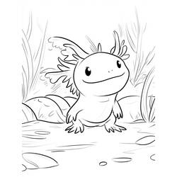 Axolotl (Animals) coloring page #220224 to print and color