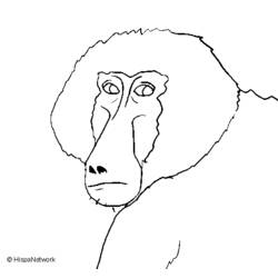 Coloring page: Baboon (Animals) #777 - Printable coloring pages