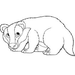 Coloring page: Badger (Animals) #208822 - Free Printable Coloring Pages