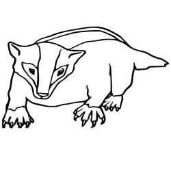 Coloring page: Badger (Animals) #208830 - Free Printable Coloring Pages