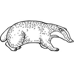 Coloring page: Badger (Animals) #208833 - Free Printable Coloring Pages