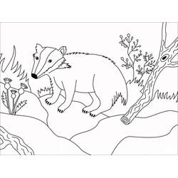 Coloring page: Badger (Animals) #208835 - Free Printable Coloring Pages