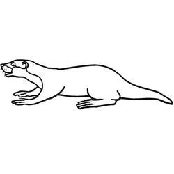 Coloring page: Badger (Animals) #208837 - Free Printable Coloring Pages