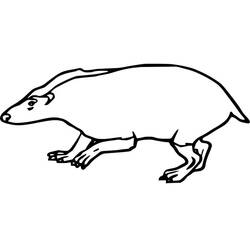 Coloring page: Badger (Animals) #208838 - Free Printable Coloring Pages