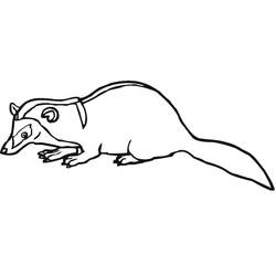 Coloring page: Badger (Animals) #208839 - Free Printable Coloring Pages