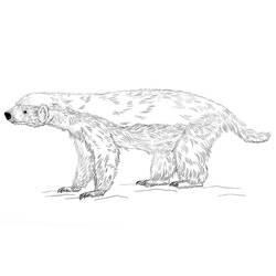Coloring page: Badger (Animals) #208840 - Free Printable Coloring Pages