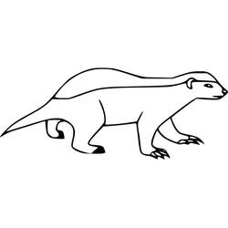 Coloring page: Badger (Animals) #208845 - Free Printable Coloring Pages