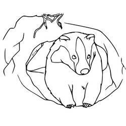 Coloring page: Badger (Animals) #208846 - Free Printable Coloring Pages