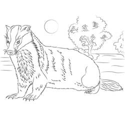 Coloring page: Badger (Animals) #208847 - Free Printable Coloring Pages
