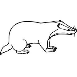 Coloring page: Badger (Animals) #208850 - Free Printable Coloring Pages