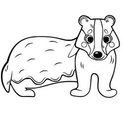 Coloring page: Badger (Animals) #208851 - Free Printable Coloring Pages