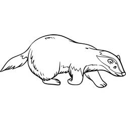 Coloring page: Badger (Animals) #208852 - Free Printable Coloring Pages