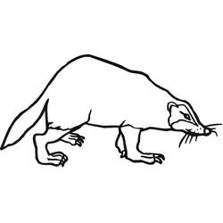 Coloring page: Badger (Animals) #208854 - Free Printable Coloring Pages