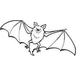 Coloring page: Bat (Animals) #1976 - Printable coloring pages