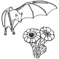 Coloring page: Bat (Animals) #2031 - Free Printable Coloring Pages