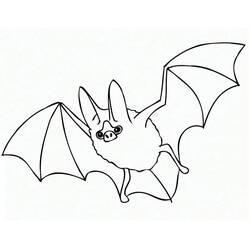 Bat (Animals) coloring page #212479 to print and color