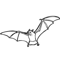 Bat (Animals) coloring page #212487 to print and color