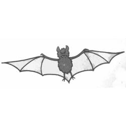 Coloring page: Bat (Animals) #2148 - Free Printable Coloring Pages