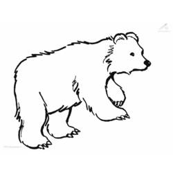 Coloring page: Bear (Animals) #12188 - Printable coloring pages