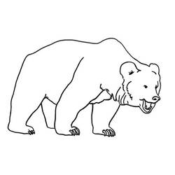 Coloring page: Bear (Animals) #12189 - Printable coloring pages